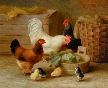 unknow artist Cocks 106 oil painting picture